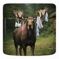 Moose with Laundry Antlers Candid Creatures Sticker - Purpose And Presence Digio