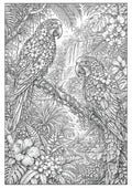 Parrots Botanimal — Coloring Page - Purpose And Presence Digio