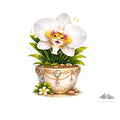 Stickers - Botanical - Tiger Lily Bloom  Character - Purpose And Presence Digio